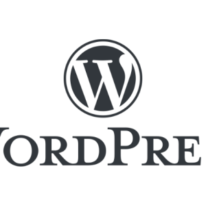 WordPress Support Plan